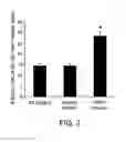 Fig. 03 - Pro-neurogenic compounds