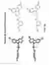 Fig. 12 - Pro-neurogenic compounds