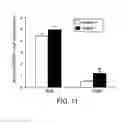 Fig. 16 - Pro-neurogenic compounds