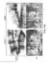 Fig. 17 - Pro-neurogenic compounds