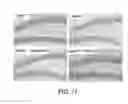 Fig. 24 - Pro-neurogenic compounds