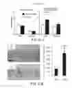 Fig. 32 - Pro-neurogenic compounds