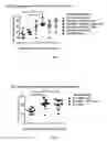 Fig. 02 - Methods and compositions for attenuating exon skipping anti-viral transfer vector immune responses