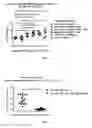 Fig. 03 - Methods and compositions for attenuating exon skipping anti-viral transfer vector immune responses