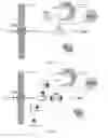 Fig. 03 - METHODS AND COMPOSITIONS FOR INHIBITING HUMAN COPPER TRAFFICKING PROTEINS ATOX1 AND CCS