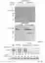 Fig. 06 - CORRECTORS ACTING THROUGH MSD1 OF CFTR PROTEIN