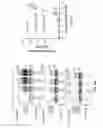 Fig. 08 - CORRECTORS ACTING THROUGH MSD1 OF CFTR PROTEIN