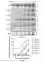 Fig. 10 - CORRECTORS ACTING THROUGH MSD1 OF CFTR PROTEIN