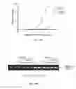Fig. 18 - CORRECTORS ACTING THROUGH MSD1 OF CFTR PROTEIN