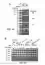 Fig. 10 - Antimicrobial Compounds