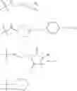 Fig. 08 - HUMAN DOSING OF PHOSPHATASE INHIBITOR