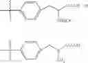 Fig. 41 - HUMAN DOSING OF PHOSPHATASE INHIBITOR