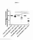 Fig. 03 - Means and methods for treating cancer