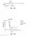 Fig. 10 - WNT MODULATORS FOR THE PROTECTION, MITIGATION AND TREATMENT OF RADIATION INJURY