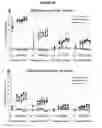 Fig. 19 - COMPOSITIONS AND METHODS UTILIZING PHOSPHODIESTERASE INHIBITORS TO TREAT BLAST-INDUCED TINNITUS AND/OR HEARING LOSS