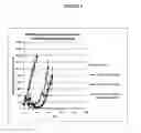 Fig. 05 - ADMINISTRATION OF NEDD8-ACTIVATING ENZYME INHIBITOR AND CHEMOTHERAPEUTIC AGENTS