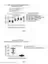 Fig. 03 - Methods and compositions for attenuating gene expression modulating anti-viral transfer vector immune responses
