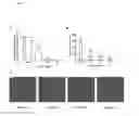 Fig. 06 - COMPOSITIONS AND METHODS FOR THE TREATMENT OF HUMAN IMMUNODEFICIENCY VIRUS INFECTION