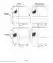 Fig. 06 - PHARMACEUTICAL COMPOSITIONS FOR TREATING DEGENERATIVE NEUROLOGICAL DISEASE WITH MITOCELLS