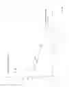 Fig. 05 - Method of using a medication or a food supplement with lactobacillus strains isolated from kimere for strengthining the immune system