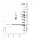 Fig. 11 - Method of using a medication or a food supplement with lactobacillus strains isolated from kimere for strengthining the immune system