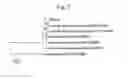 Fig. 03 - Nano-sized kimchi lactic acid bacteria