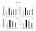 Fig. 13 - Nano-sized kimchi lactic acid bacteria
