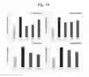 Fig. 15 - Nano-sized kimchi lactic acid bacteria