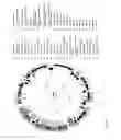 Fig. 02 - Antibacterial phage, phage peptides and methods of use thereof