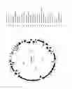 Fig. 109 - Antibacterial phage, phage peptides and methods of use thereof