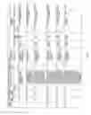 Fig. 110 - Antibacterial phage, phage peptides and methods of use thereof