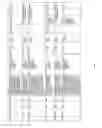 Fig. 135 - Antibacterial phage, phage peptides and methods of use thereof