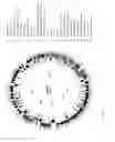 Fig. 173 - Antibacterial phage, phage peptides and methods of use thereof