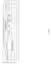 Fig. 328 - Antibacterial phage, phage peptides and methods of use thereof