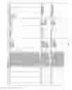 Fig. 56 - Antibacterial phage, phage peptides and methods of use thereof