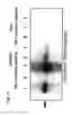 Fig. 15 - Use of adenoviruses and nucleic acids that code for said viruses