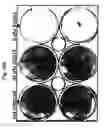 Fig. 19 - Use of adenoviruses and nucleic acids that code for said viruses