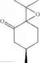 Fig. 31 - Pharmaceutical composition and method of manufacturing