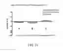 Fig. 17 - Chromium-containing compositions in combination with and shilajit having synergistic effects for improving endothelial function and cardiovascular health