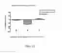 Fig. 19 - Chromium-containing compositions in combination with and shilajit having synergistic effects for improving endothelial function and cardiovascular health