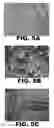 Fig. 06 - Xanthophyll compositions and methods of use
