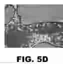 Fig. 07 - Xanthophyll compositions and methods of use