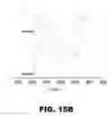 Fig. 22 - Xanthophyll compositions and methods of use