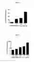 Fig. 02 - Composition from Sphaeranthus indicus and Garcinia mangostana for the control of metabolic syndrome