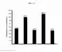 Fig. 11 - Composition from Sphaeranthus indicus and Garcinia mangostana for the control of metabolic syndrome