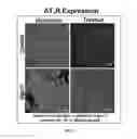 Fig. 07 - ANGIOTENSINS IN MUSCULAR DYSTROPHY