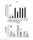 Fig. 08 - EFFECT OF PHOSPHOLIPID COMPOSITION OF RECONSTITUTED HDL ON ITS CHOLESTEROL EFFLUX AND ANTI-INFLAMMATORY PROPERTIES