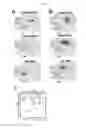 Fig. 13 - EFFECT OF PHOSPHOLIPID COMPOSITION OF RECONSTITUTED HDL ON ITS CHOLESTEROL EFFLUX AND ANTI-INFLAMMATORY PROPERTIES