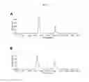 Fig. 18 - EFFECT OF PHOSPHOLIPID COMPOSITION OF RECONSTITUTED HDL ON ITS CHOLESTEROL EFFLUX AND ANTI-INFLAMMATORY PROPERTIES