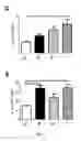 Fig. 08 - CONJUGATES FOR THE ADMINISTRATION OF BIOLOGICALLY ACTIVE COMPOUNDS